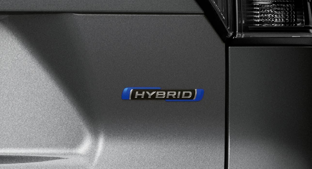 Abbildung zeigt Hybrid Logo