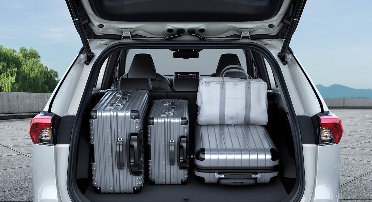 Abbildung zeigt Gepäckraum