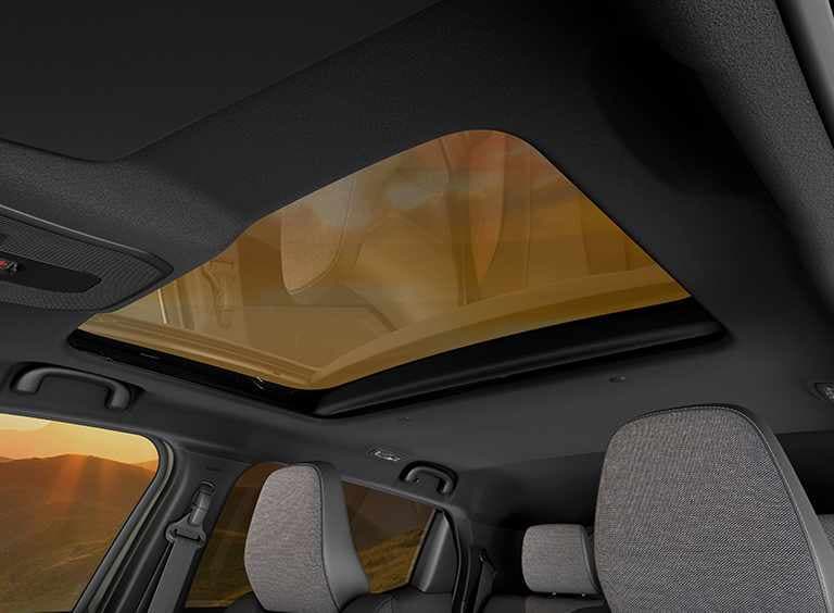 Das Glasdach in Nahaufnahme.